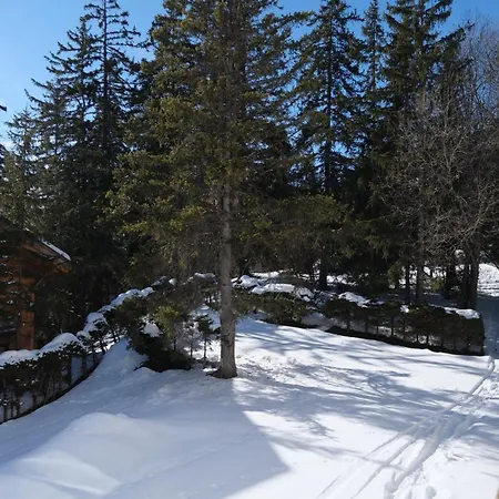 Cozy, Calme, Ski-in Et Ski-out Daire