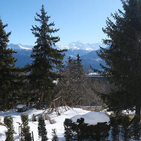 Cozy, Calme, Ski-in Et Ski-out Daire