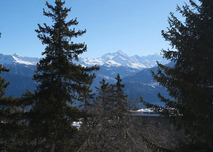 Daire Cozy, Calme, Ski-in Et Ski-out Crans-Montana