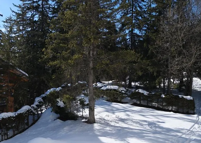 Cozy, Calme, Ski-in Et Ski-out Daire